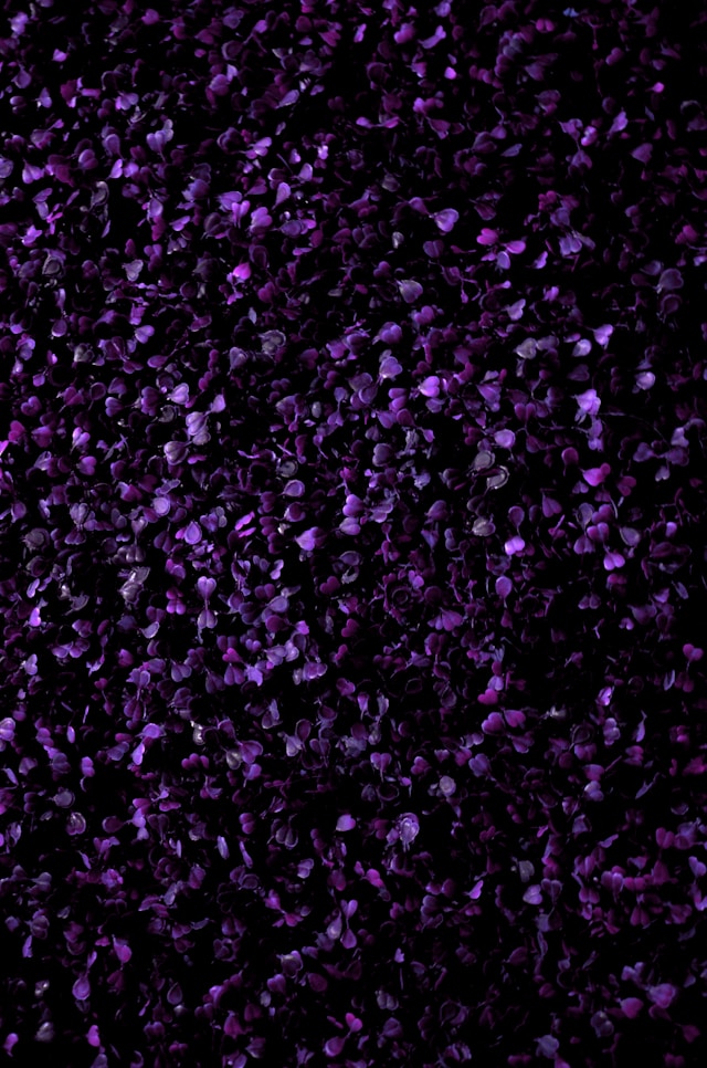 Απώλειες εν όψει του ματς με τον Φονέα